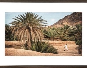 Morrocan Oasis