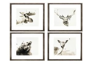 Elk, Deer, Moose