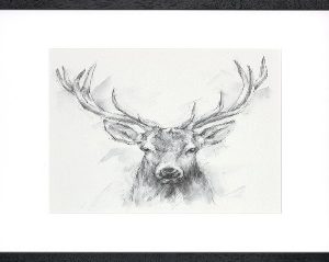 Contemporary Elk Sketch I