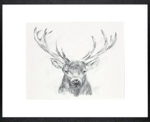 Contemporary Elk Sketch II