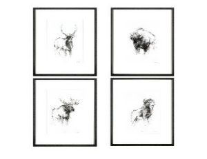 Animal Sketches