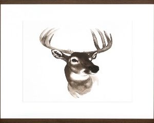 Animal Study VI