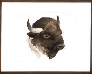 Animal Study IV