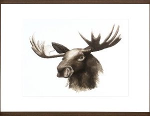 Animal Study III
