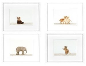 Animal Prints I
